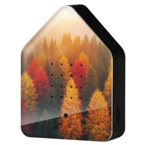 Boîte à gazouillis «Forêt»