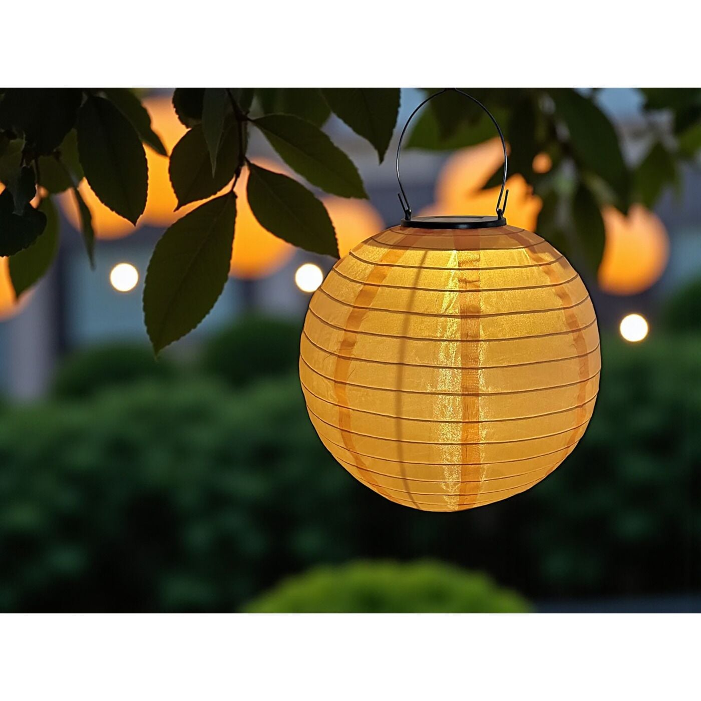 LED-Solar-Lampion