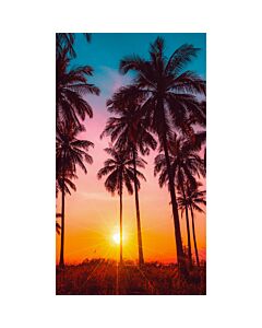 Serviette de plage «Palmiers»