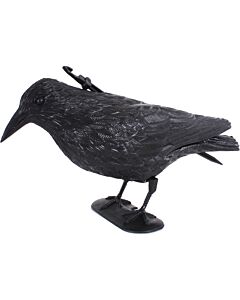 Épouvantail à pigeons «Corbeau»