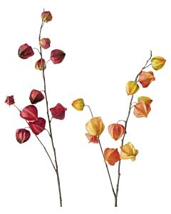 Branches décoratives fleurs de lampion, fleurs artificielles, lot de 2, «Physalis»