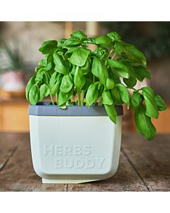 Pot à herbes aromatiques «Herbes Buddy»