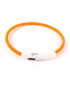 Leuchtendes Hundehalsband «Reflective Flash Ring»