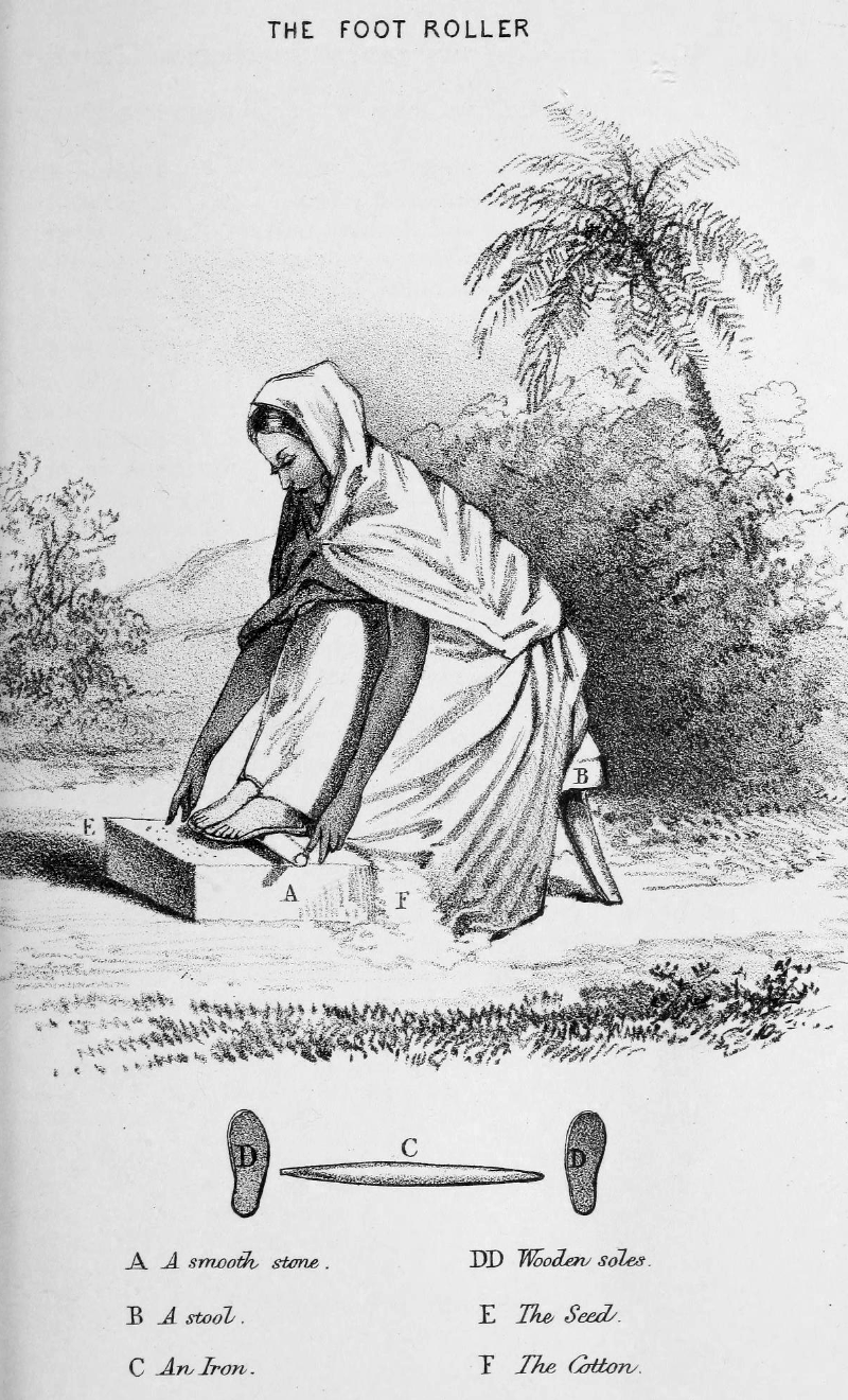 Frau in Indien entkörnt Baumwolle mit einer Eisenwalze, Zeichnung von 1836 - James Talboys Wheeler (1824-1897)