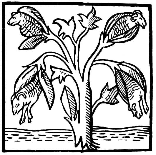 Gravure sur bois, Jean de Mandeville Gravure sur bois, Jean de Mandeville
