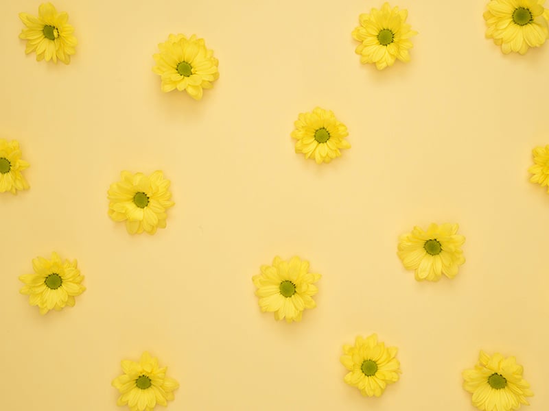 Fleurs jaunes pastel Fleurs jaunes pastel
